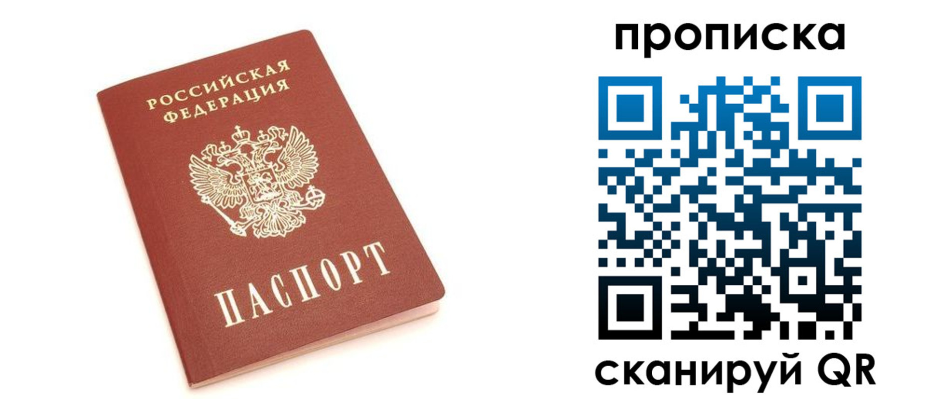 прописка 2025 в Щёкино