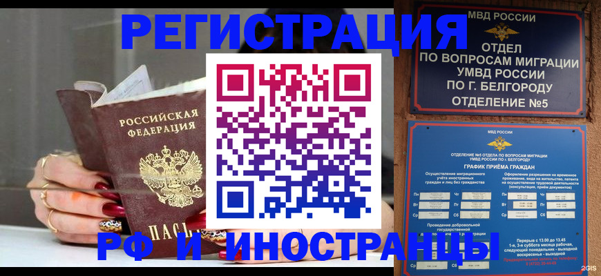 прописка в Щёкино